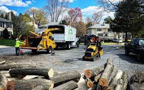 Best Commercial Tree Services  in East Cleveland, TN