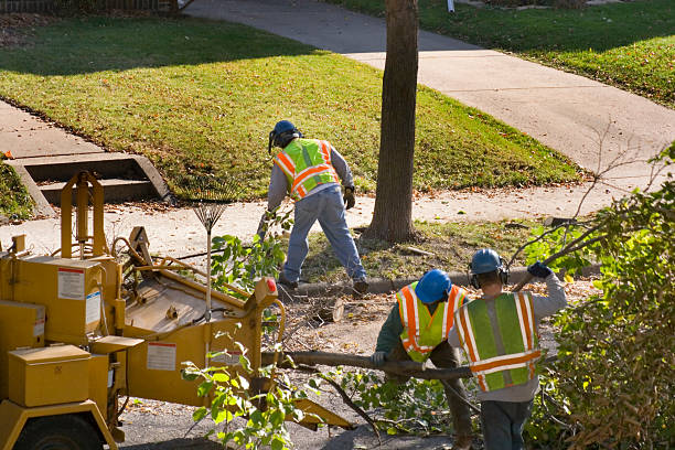Best Firewood Processing and Delivery  in East Cleveland, TN
